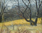 Beth Dilly "Autumn Light" 2009 Acrylic On Canvas 14 x 11 $100 Beth Dilly "Autumn Light" 2009 Acrylic On Canvas 14 x 11 $100