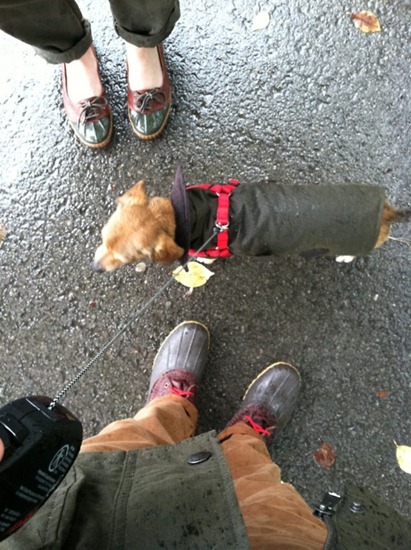 [IMG_0017%255B8%255D.jpg]
