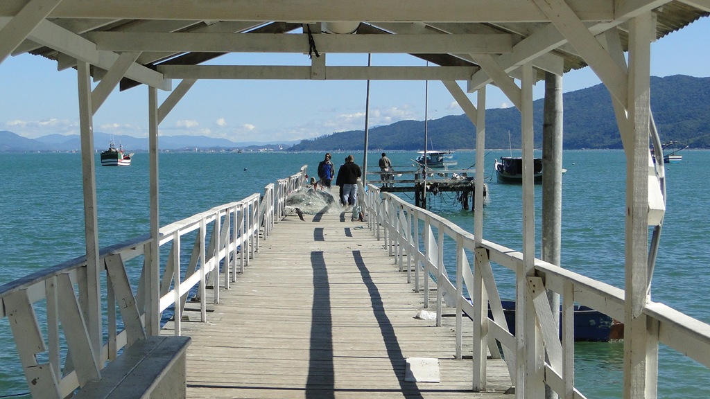 [DSC08764%255B3%255D.jpg]