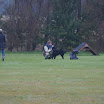 DSC04033.JPG