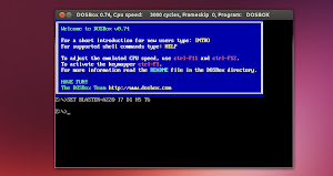 DOSBox in Ubuntu Linux