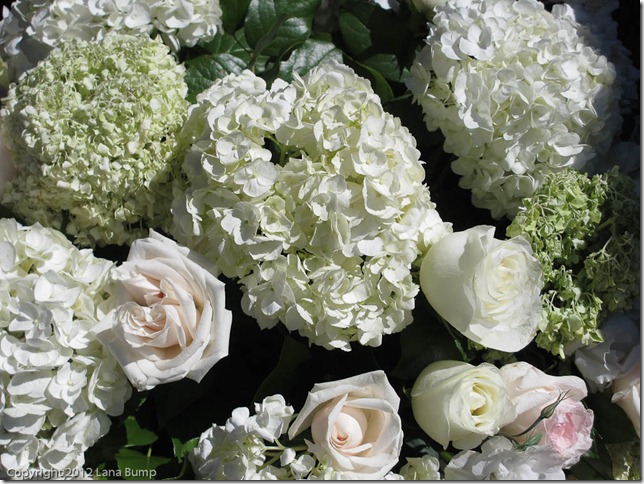 Market flowers Market flowers