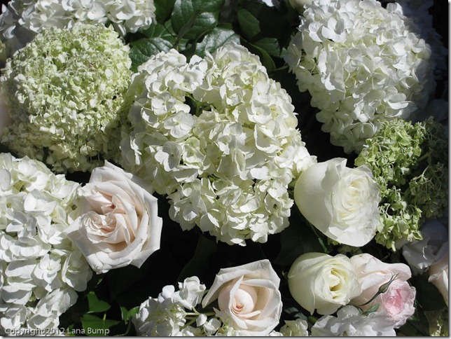 Market flowers