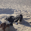P1000926.jpg
