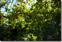 DSC_0044 DSC_0044
