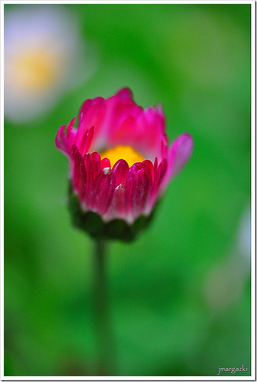 DSC_2055 DSC_2055