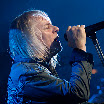 002Uriah_Heep_Bosuil_2011.JPG