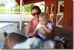 IMG_6617 IMG_6617