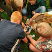 DSC_0199.JPG