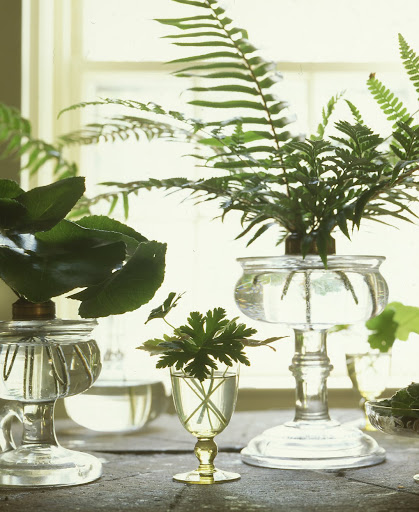 Oil Lamp Vases. (Martha Stewart Living)
