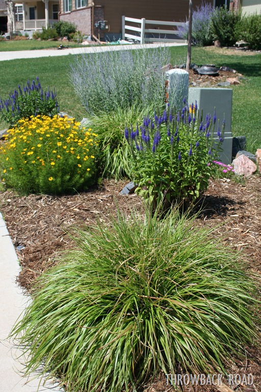 [garden%2520home%2520july%25202012%2520074%255B5%255D.jpg]