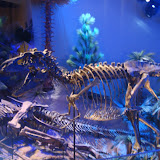 Indianapolis Childrens Museum