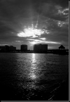 DSC01645 DSC01645