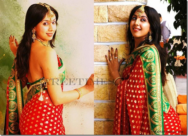Sanjana_Traditional_Saree