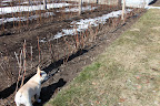Voila!!!  That row is done!