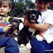 Gabi -SabatheBruno-Blue.jpg