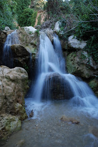 DSC_8384.JPG