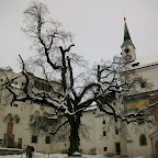 100_1210.JPG