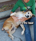 Trudy - Rescued in the nick of time...