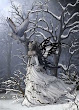 Winter Witchcraft