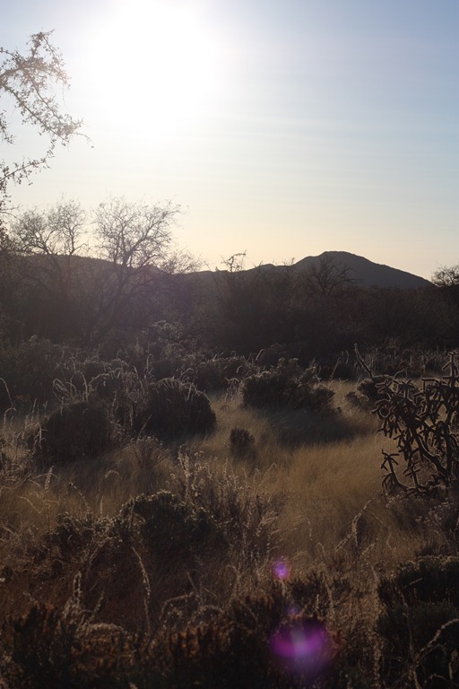 [12th%2520anniv%2520hiking%2520144%255B5%255D.jpg]
