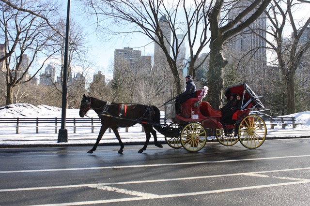 [carriage-ride-central-park-nyc%255B3%255D.jpg]