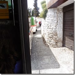 P1000542 P1000542
