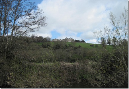 IMG_0536 IMG_0536