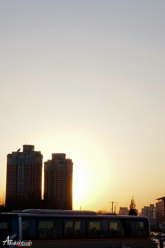 DSC02847 DSC02847