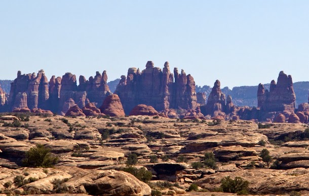 Needles Closeup.jpg