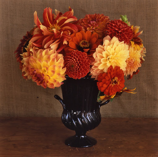 I love the assortment of flowers and all of the different shades of reds and oranges. I love the assortment of flowers and all of the different shades of reds and oranges.