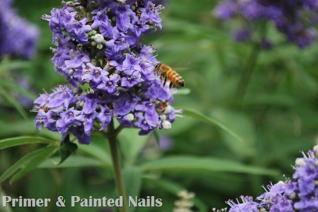 DSC_0003 DSC_0003