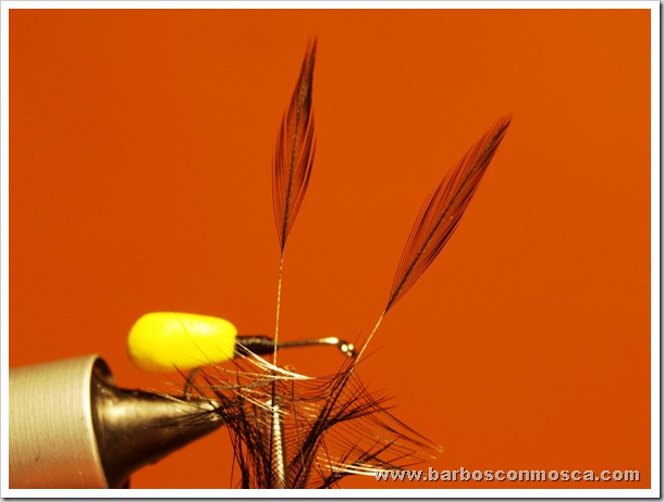www.barbosconmosca.com www.barbosconmosca.com