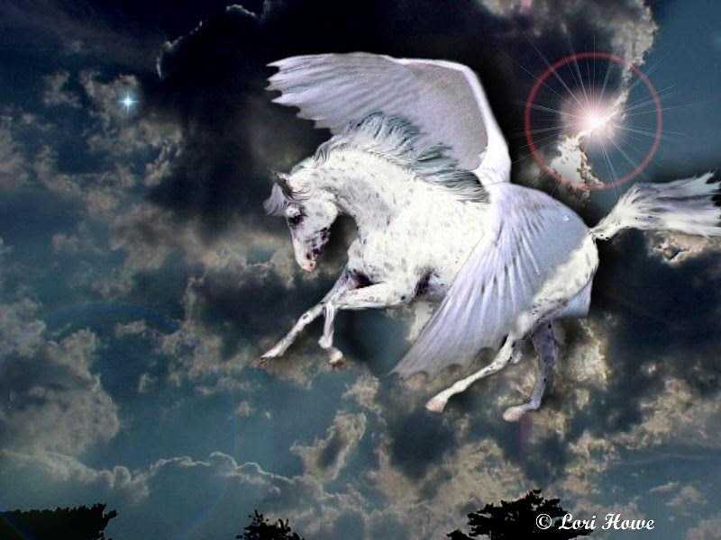 White Horse In Sky, Mystery