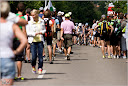 Roth_2010_215.jpg