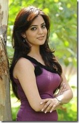 Tamil Actress Nisha Agarwal Hot Photoshoot Gallery