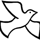 paz 5.jpg