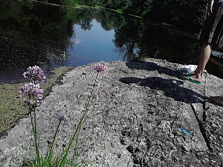 P160711_13.30_[01].jpg