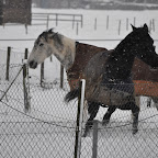 DSC_2301.jpg