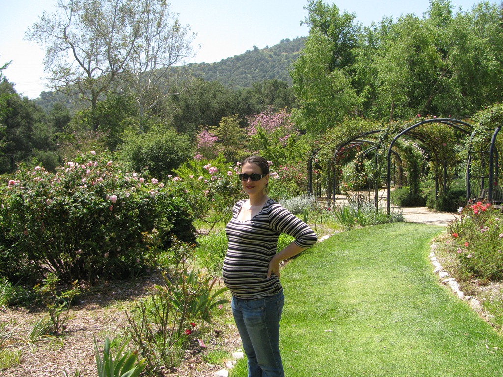 [IMG_3410%255B4%255D.jpg]