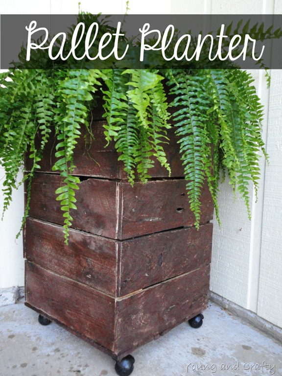 [Pallet%2520Planter%255B12%255D.jpg]