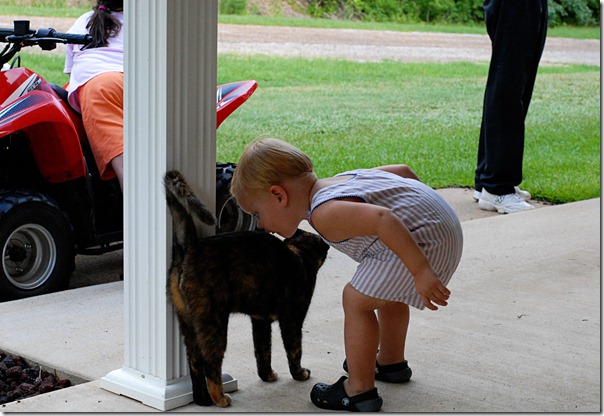 T kissing the cat