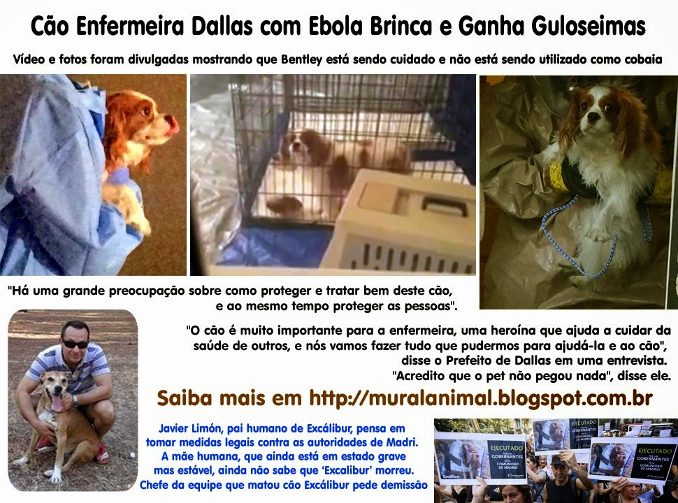 [bentley%255B3%255D.jpg]