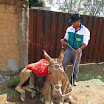 2EncontrodeMuladeiros-082.JPG