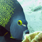 IMG_8677.JPG