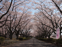 P4151443.JPG