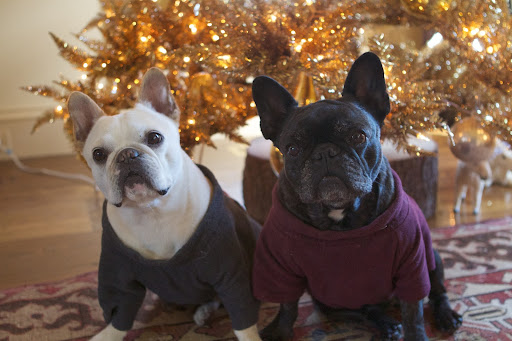Yes, it's safe to say that gold is the color of Christmas in the Summer House!