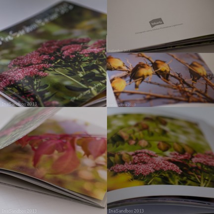 [mybookcollage%255B5%255D.jpg]