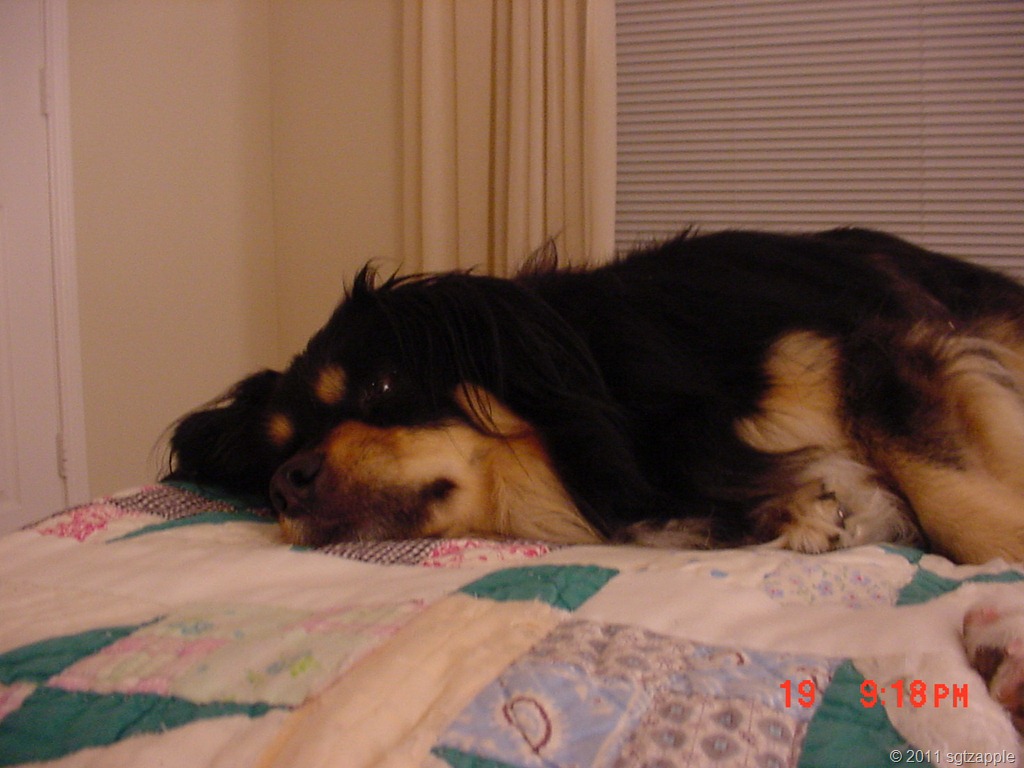 [Addie%2520sleeping%2520on%2520quilt%255B10%255D.jpg]