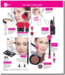 Catalog19-106